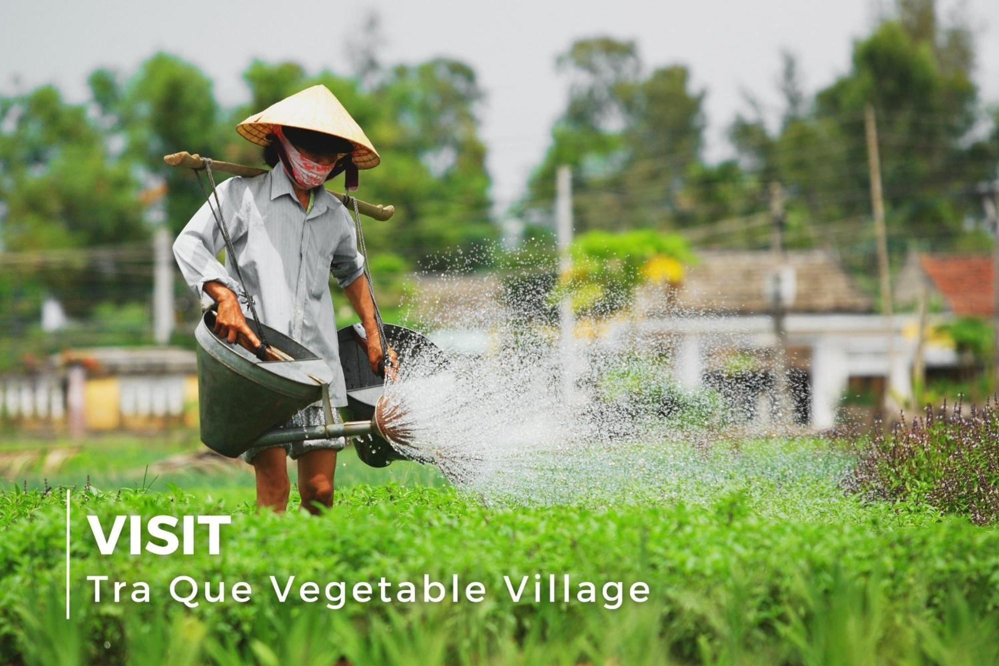 La Charm Hoi An Hotel & Spa מראה חיצוני תמונה